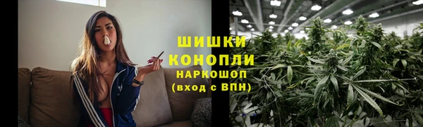 бутират Белокуриха