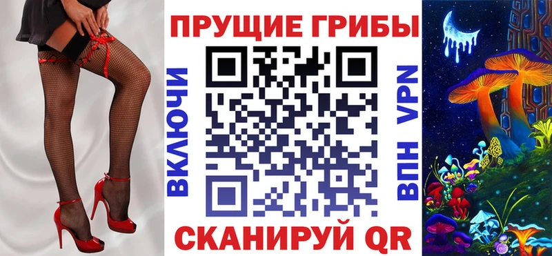Псилоцибиновые грибы прущие грибы  hydra ссылка  Дивногорск 